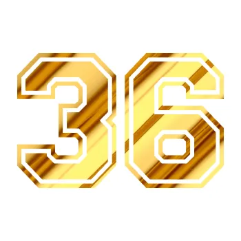 Polep vozidla Startovní číslo 36 typ 4 (81 - chrom fólie zlatá zrcadlová) SAMOLEPKA NA AUTO, NÁLEPKA, FÓLIE, POLEP, TUNING, VLASTNÍ TEXT, TISK, AUTOSAMOLEPKY.cz, POLEPY, OBRÁZEK, LOGO, 3D STICKERS