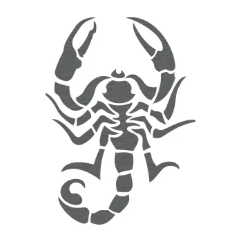 Polep vozidla SAMOLEPKA NA AUTO Štír 004 levá (62 - škrábaný titan) NÁLEPKA, FÓLIE, POLEP, TUNING, VLASTNÍ TEXT, TISK, AUTOSAMOLEPKY.cz, POLEPY, OBRÁZEK, LOGO, SAMOLEPKY