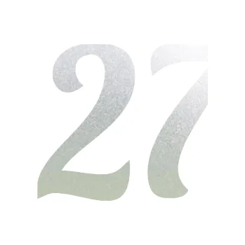 Polep vozidla Startovní číslo 27 typ 3 (60 - pískované sklo) SAMOLEPKA NA AUTO, NÁLEPKA, FÓLIE, POLEP, TUNING, VLASTNÍ TEXT, TISK, AUTOSAMOLEPKY.cz, POLEPY, OBRÁZEK, LOGO, 3D STICKERS