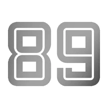 Polep vozidla Startovní číslo 89 typ 7 (42 - stříbrná metalíza) SAMOLEPKA NA AUTO, NÁLEPKA, FÓLIE, POLEP, TUNING, VLASTNÍ TEXT, TISK, AUTOSAMOLEPKY.cz, POLEPY, OBRÁZEK, LOGO, 3D STICKERS