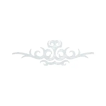 Polep vozidla SAMOLEPKA Tetování 051 (51 - 3D karbon bílý) NA AUTO, NÁLEPKA, FÓLIE, POLEP, TUNING, VLASTNÍ TEXT, TISK, AUTOSAMOLEPKY.cz, POLEPY, OBRÁZEK, LOGO, SAMOLEPKY