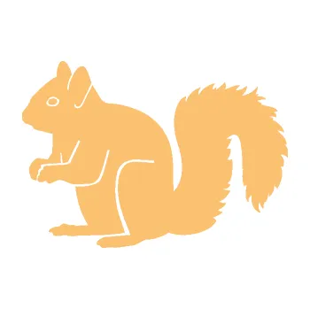 Samolepící dekorace Veverka 001 levá (08 - béžová) SAMOLEPKA NA AUTO, NÁLEPKA, FÓLIE, POLEP, TUNING, VLASTNÍ TEXT, TISK, AUTOSAMOLEPKY.cz, POLEPY, OBRÁZEK, LOGO, 3D STICKERS