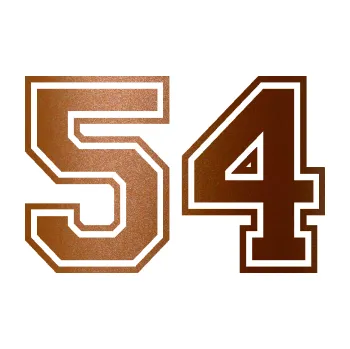 Polep vozidla Startovní číslo 54 typ 4 (44 - měděná metalíza) SAMOLEPKA NA AUTO, NÁLEPKA, FÓLIE, POLEP, TUNING, VLASTNÍ TEXT, TISK, AUTOSAMOLEPKY.cz, POLEPY, OBRÁZEK, LOGO, 3D STICKERS