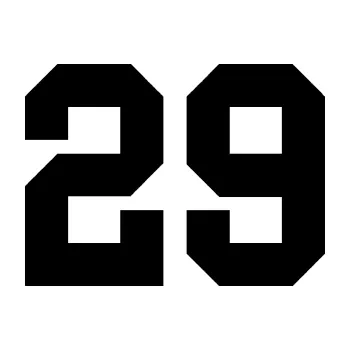 Polep vozidla Startovní číslo 29 (01 - černá) SAMOLEPKA NA AUTO, NÁLEPKA, FÓLIE, POLEP, TUNING, VLASTNÍ TEXT, TISK, AUTOSAMOLEPKY.cz, POLEPY, OBRÁZEK, LOGO, 3D STICKERS