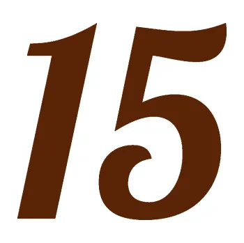 Polep vozidla Startovní číslo 15 typ 3 (15 - hnědá) SAMOLEPKA NA AUTO, NÁLEPKA, FÓLIE, POLEP, TUNING, VLASTNÍ TEXT, TISK, AUTOSAMOLEPKY.cz, POLEPY, OBRÁZEK, LOGO, 3D STICKERS