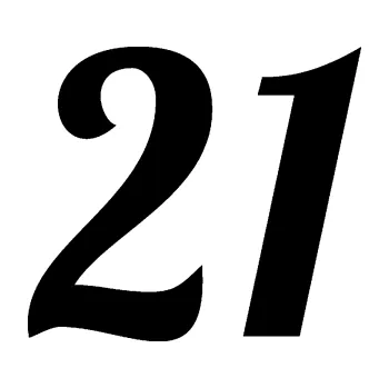 Polep vozidla Startovní číslo 21 typ 3 (01 - černá) SAMOLEPKA NA AUTO, NÁLEPKA, FÓLIE, POLEP, TUNING, VLASTNÍ TEXT, TISK, AUTOSAMOLEPKY.cz, POLEPY, OBRÁZEK, LOGO, 3D STICKERS