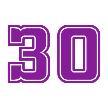 Polep vozidla Startovní číslo 30 typ 5 (14 - fialová) SAMOLEPKA NA AUTO, NÁLEPKA, FÓLIE, POLEP, TUNING, VLASTNÍ TEXT, TISK, AUTOSAMOLEPKY.cz, POLEPY, OBRÁZEK, LOGO, 3D STICKERS