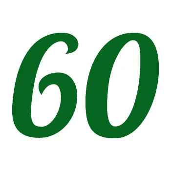 Polep vozidla Startovní číslo 60 typ 3 (20 - tmavě zelená) SAMOLEPKA NA AUTO, NÁLEPKA, FÓLIE, POLEP, TUNING, VLASTNÍ TEXT, TISK, AUTOSAMOLEPKY.cz, POLEPY, OBRÁZEK, LOGO, 3D STICKERS