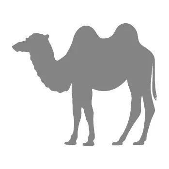 Samolepící dekorace Velbloud 003 levá (17 - šedá) SAMOLEPKA NA AUTO, NÁLEPKA, FÓLIE, POLEP, TUNING, VLASTNÍ TEXT, TISK, AUTOSAMOLEPKY.cz, POLEPY, OBRÁZEK, LOGO, 3D STICKERS