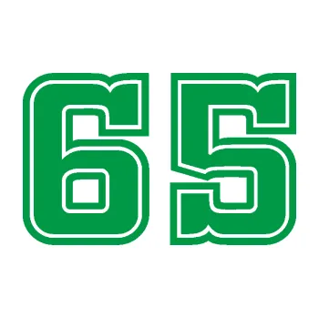 Polep vozidla Startovní číslo 65 typ 5 (12 - zelená) SAMOLEPKA NA AUTO, NÁLEPKA, FÓLIE, POLEP, TUNING, VLASTNÍ TEXT, TISK, AUTOSAMOLEPKY.cz, POLEPY, OBRÁZEK, LOGO, 3D STICKERS