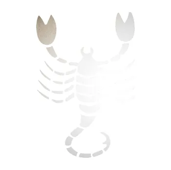 Samolepící dekorace Štír zvěrokruh 004 pravá (82 - odrazková reflexní bílá) SAMOLEPKA NA AUTO, NÁLEPKA, FÓLIE, POLEP, TUNING, VLASTNÍ TEXT, TISK, AUTOSAMOLEPKY.cz, POLEPY, OBRÁZEK, LOGO, 3D STICKERS