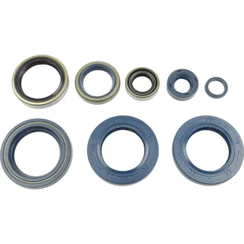 Těsnění pro motocykl Sada gufer motoru ATHENA KTM 660 SMC rok 03-06