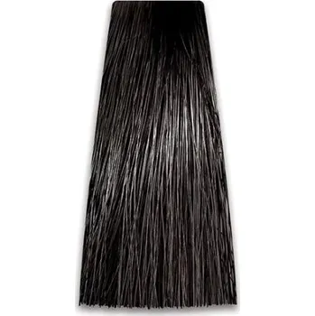 Barva na vlasy 2/0 Prosalon Professional Intensis Color Art (100 gr)