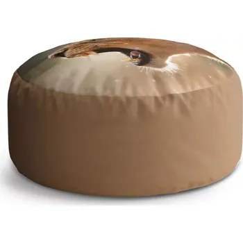 Sedací pytel Kulatý taburet Circle Rozzuřená lvice: 38x48 cm - Sablio