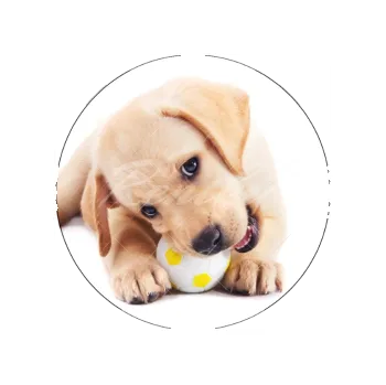 Jedlá dekorace na dort PES a míček, VARIANTA Jedlý papír dortovedekorace.cz 194