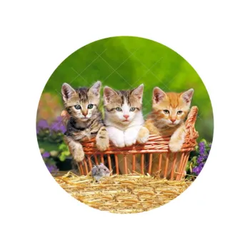 Jedlá dekorace na dort KOŤÁTKA, VARIANTA Jedlý papír 959