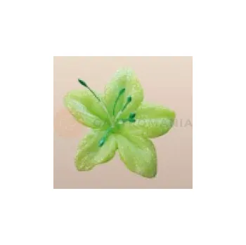 Výroba svíčky Cukrový květ hvězdný prach 4 cm, limetkový, sada 5 ks. | MAGMART, 041