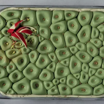 fomička na zmrzlinu Silikonová forma na ozdobení nádoby se zmrzlinou - 361,5x152x21,5 mm, 651 ml - TOP105S | PAVONI, Coral