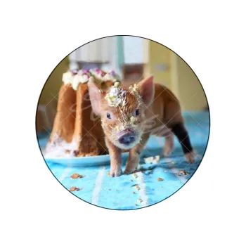 Jedlá dekorace na dort PRASÁTKO, VARIANTA Fondánový list 1218