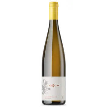 Červenošpičák 2016, zemské víno, DomaineM, suché