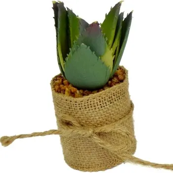 DUE ESSE DUE ESSE, Dekorativní sukulent v jutě 10 cm, tvar č.2