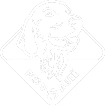 Samolepicí dekorace na vozidlo Pes v autě Retrívr samolepka na auto - zelená / 15x15 cm