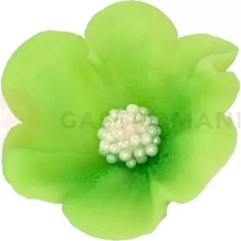 Výroba svíčky Malý cukrový květ mercedesu 4 cm, limetkový, sada 5 ks. | MAGMART, K 010