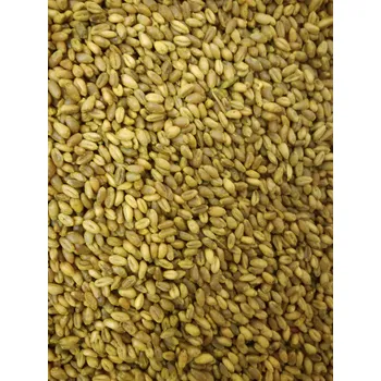 Pesticid STOP ŠKŮDCŮM ZRNO 10kg