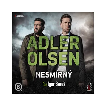 Nesmírný MP3 download