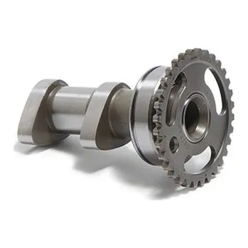 C&L COMPANIES Camshaft intake HOT CAMS 4151-INBLD