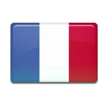 Vlajka Amicar Samolepicí vlajka Francie 50x30 mm, 3D efekt