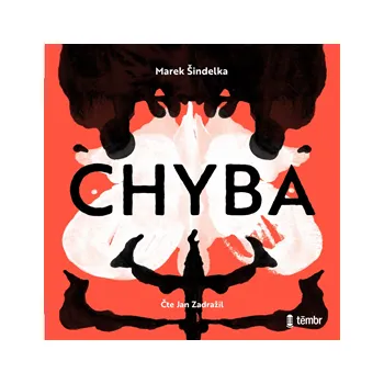 Chyba MP3 download