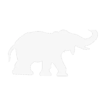 Samolepící dekorace Slon 021 pravá (09 - bílá) SAMOLEPKA NA AUTO, NÁLEPKA, FÓLIE, POLEP, TUNING, VLASTNÍ TEXT, TISK, AUTOSAMOLEPKY.cz, POLEPY, OBRÁZEK, LOGO, 3D STICKERS