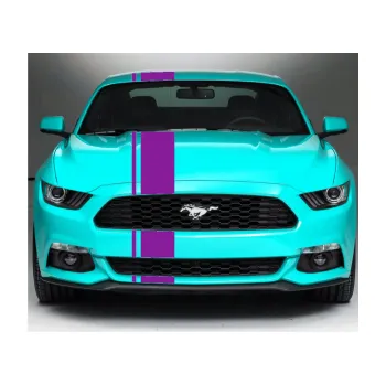 Polep vozidla Viper pruhy 2 cm + 16 cm (14 - fialová) SAMOLEPKA NA AUTO, NÁLEPKA, FÓLIE, POLEP, TUNING, VLASTNÍ TEXT, TISK, AUTOSAMOLEPKY.cz, POLEPY, OBRÁZEK, LOGO, 3D STICKERS