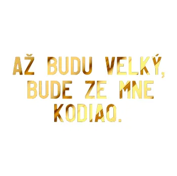 Samolepicí dekorace na vozidlo Až budu velký, bude ze mne Kodiaq (81 - chrom fólie zlatá zrcadlová) SAMOLEPKA NA AUTO, NÁLEPKA, FÓLIE, POLEP, TUNING, VLASTNÍ TEXT, TISK, AUTOSAMOLEPKY.cz, POLEPY, OBRÁZEK, LOGO, 3D STICKERS