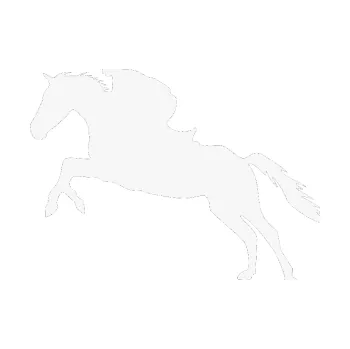 Samolepící dekorace Kůň 019 levá jezdec v sedle (09 - bílá) SAMOLEPKA NA AUTO, NÁLEPKA, FÓLIE, POLEP, TUNING, VLASTNÍ TEXT, TISK, AUTOSAMOLEPKY.cz, POLEPY, OBRÁZEK, LOGO, 3D STICKERS