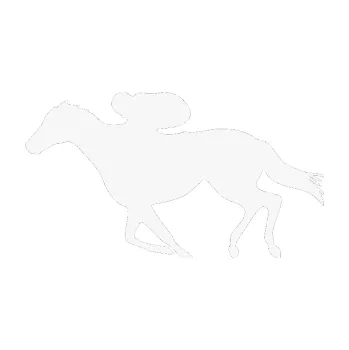 Samolepící dekorace SAMOLEPKA Kůň 027 levá závodí s jezdcem (09 - bílá) NA AUTO, NÁLEPKA, FÓLIE, POLEP, TUNING, VLASTNÍ TEXT, TISK, AUTOSAMOLEPKY.cz, POLEPY, OBRÁZEK, LOGO, SAMOLEPKY