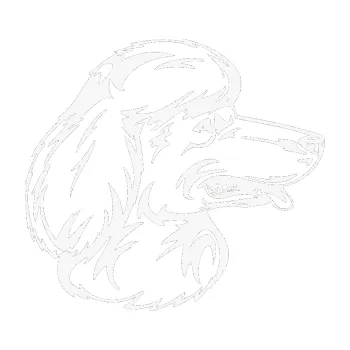 Polep vozidla SAMOLEPKA Pes 013 pravá Pudl (09 - bílá) NA AUTO, NÁLEPKA, FÓLIE, POLEP, TUNING, VLASTNÍ TEXT, TISK, AUTOSAMOLEPKY.cz, POLEPY, OBRÁZEK, LOGO, SAMOLEPKY