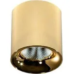 Azzardo AZ4157 bodové svítidlo MANE 30W zlatá