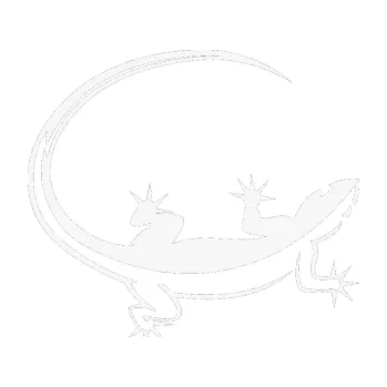 Samolepící dekorace Ještěrka 010 pravá (09 - bílá) SAMOLEPKA NA AUTO, NÁLEPKA, FÓLIE, POLEP, TUNING, VLASTNÍ TEXT, TISK, AUTOSAMOLEPKY.cz, POLEPY, OBRÁZEK, LOGO, 3D STICKERS