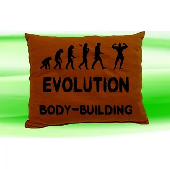 Polštář Polštář Evolution BODY-BUILDING (polštářek evolution kulturistika)