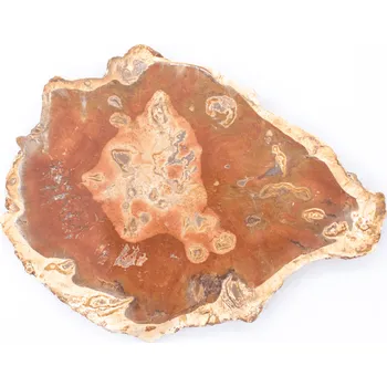 Přírodní kámen Milujeme Kameny Zkamenělé dřevo - zkamenělina ZD16 406065