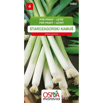 Semeno Pór letní Starozagorski Kamuš - semena 1,5 g
