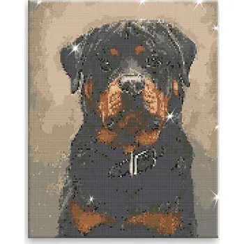 Diamantové malování Diamantové malování - Pes s obojkem - 40x50 cm, bez dřevěného rámu - CZ výroba