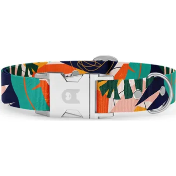 Obojek pro psa Obojek pro psa Obodog® Basic kolekce Teal