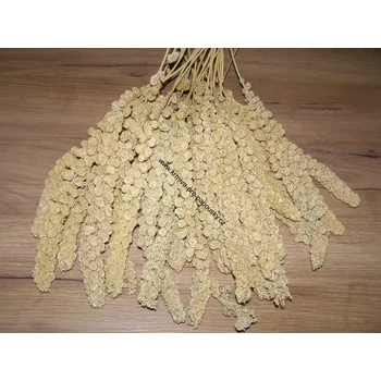 Krmivo pro ptáka LECODE H.K. INTLĹ Senegalské proso klasy žluté 500 g