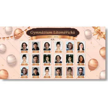Party dekorace Personal Banner na stužkovou s fotkami - Light gold Rozměr banner: 130 x 260 cm