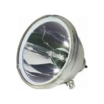 Lampa pro projektor Lampa pro projektor Vivitek D6000 (5811100818-S) varianta: Originální lampa bez modulu
