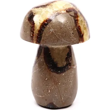 Drahý kámen Magieprirody.cz Houba z kamene Septárie 104 mm - 508 g #C8