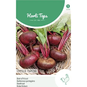 Semeno Semena - ČERVENÁ ŘEPA ´EGYPTIAN TURNIP ROOTED´